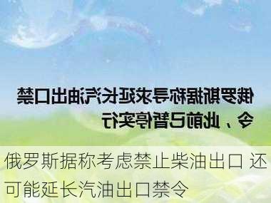 俄罗斯据称考虑禁止柴油出口 还可能延长汽油出口禁令