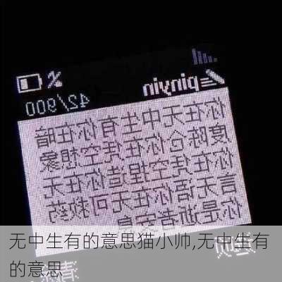 无中生有的意思猫小帅,无中生有 的意思