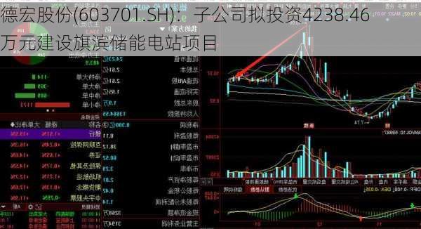 德宏股份(603701.SH)：子公司拟投资4238.46万元建设旗滨储能电站项目