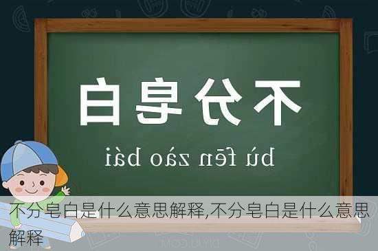 不分皂白是什么意思解释,不分皂白是什么意思解释