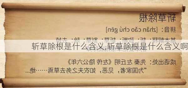 斩草除根是什么含义,斩草除根是什么含义啊