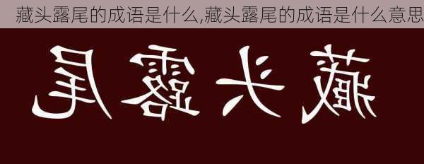 藏头露尾的成语是什么,藏头露尾的成语是什么意思