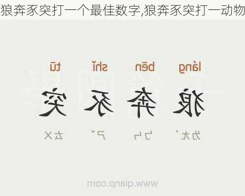 狼奔豕突打一个最佳数字,狼奔豕突打一动物