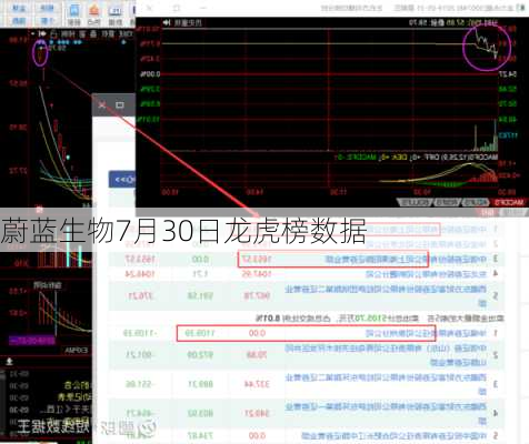 蔚蓝生物7月30日龙虎榜数据