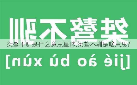 桀骜不驯是什么意思星球,桀骜不驯是啥意思?