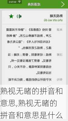 熟视无睹的拼音和意思,熟视无睹的拼音和意思是什么