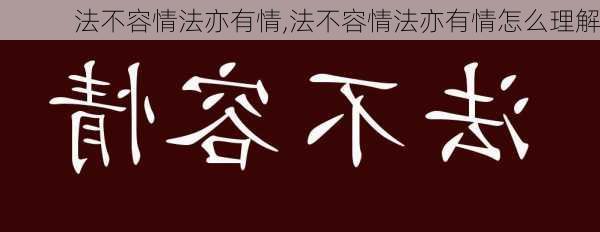 法不容情法亦有情,法不容情法亦有情怎么理解