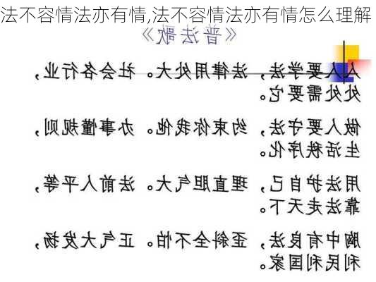 法不容情法亦有情,法不容情法亦有情怎么理解