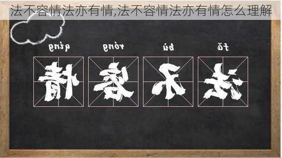 法不容情法亦有情,法不容情法亦有情怎么理解