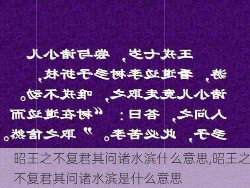 昭王之不复君其问诸水滨什么意思,昭王之不复君其问诸水滨是什么意思