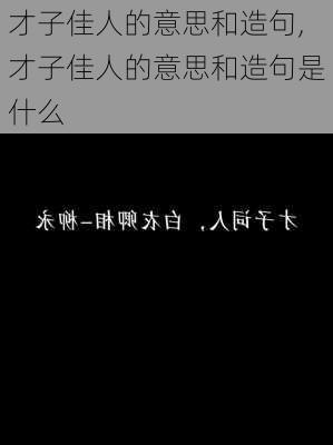 才子佳人的意思和造句,才子佳人的意思和造句是什么