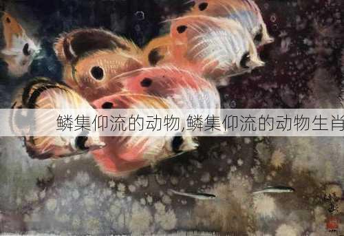 鳞集仰流的动物,鳞集仰流的动物生肖