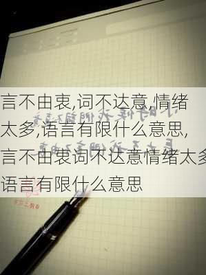 言不由衷,词不达意,情绪太多,语言有限什么意思,言不由衷词不达意情绪太多语言有限什么意思