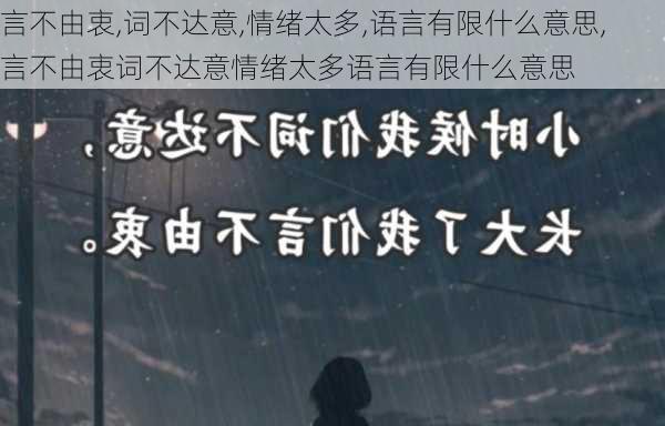 言不由衷,词不达意,情绪太多,语言有限什么意思,言不由衷词不达意情绪太多语言有限什么意思