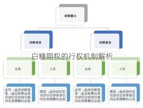 白糖期权的行权机制解析