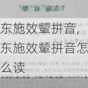 东施效颦拼音,东施效颦拼音怎么读