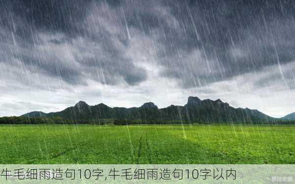 牛毛细雨造句10字,牛毛细雨造句10字以内