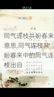 同气连枝共盼春来意思,同气连枝共盼春来中的同气连枝出自