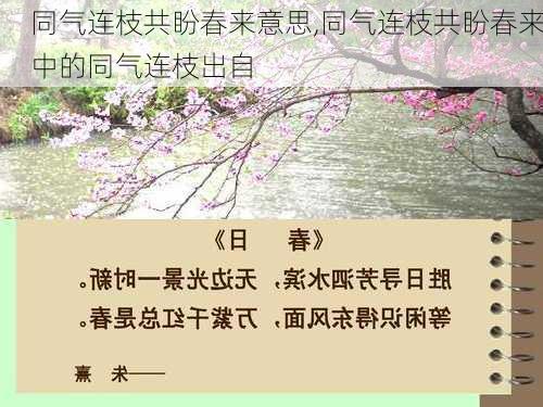 同气连枝共盼春来意思,同气连枝共盼春来中的同气连枝出自