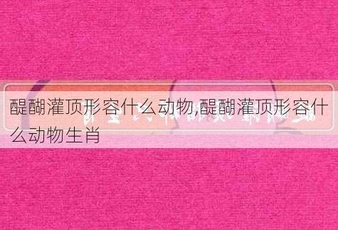 醍醐灌顶形容什么动物,醍醐灌顶形容什么动物生肖