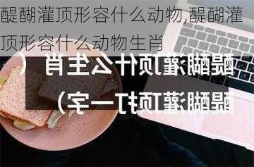 醍醐灌顶形容什么动物,醍醐灌顶形容什么动物生肖