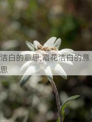 洁白的意思,霜花洁白的意思