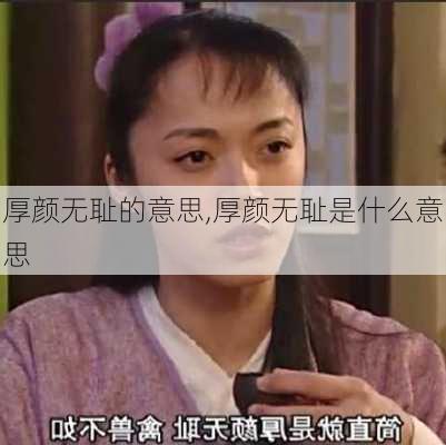 厚颜无耻的意思,厚颜无耻是什么意思