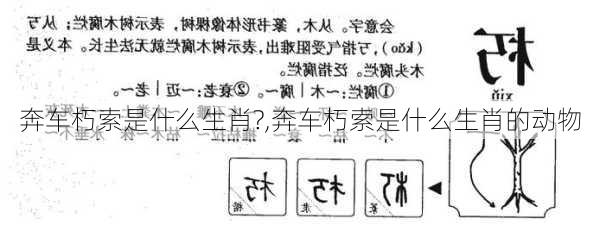 奔车朽索是什么生肖?,奔车朽索是什么生肖的动物