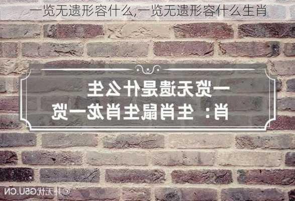 一览无遗形容什么,一览无遗形容什么生肖