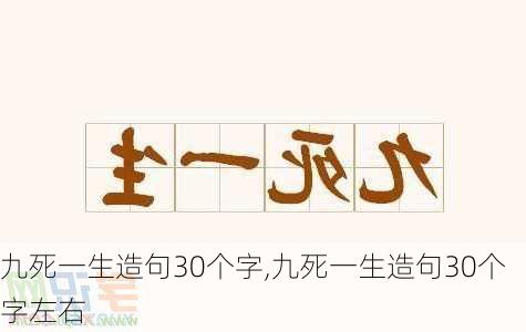 九死一生造句30个字,九死一生造句30个字左右