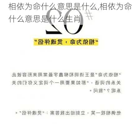 相依为命什么意思是什么,相依为命什么意思是什么生肖