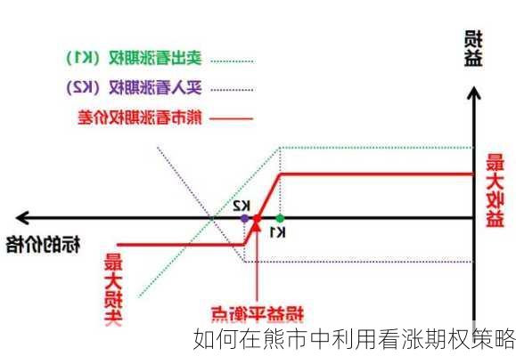 如何在熊市中利用看涨期权策略