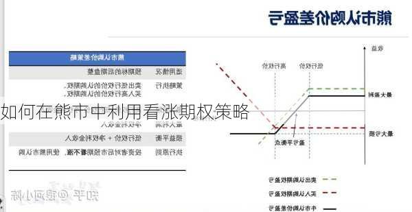 如何在熊市中利用看涨期权策略