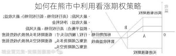 如何在熊市中利用看涨期权策略