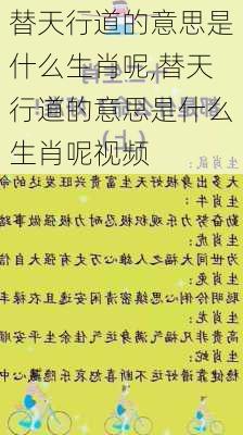 替天行道的意思是什么生肖呢,替天行道的意思是什么生肖呢视频