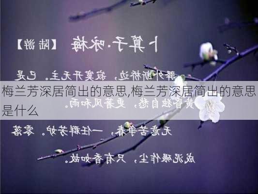 梅兰芳深居简出的意思,梅兰芳深居简出的意思是什么