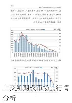 上交所期权市场的行情分析