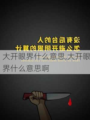 大开眼界什么意思,大开眼界什么意思啊