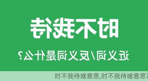 时不我待啥意思,时不我待啥意思?