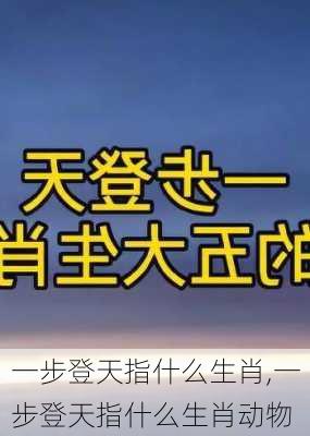 一步登天指什么生肖,一步登天指什么生肖动物