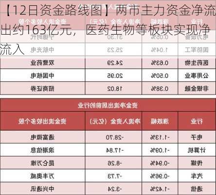 【12日资金路线图】两市主力资金净流出约163亿元，医药生物等板块实现净流入