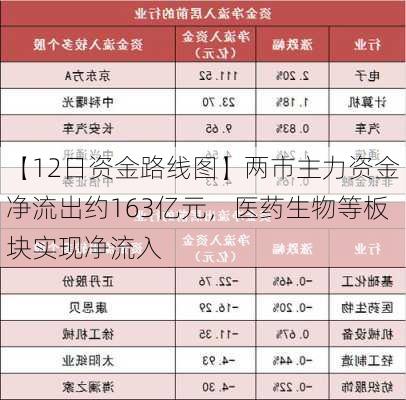 【12日资金路线图】两市主力资金净流出约163亿元，医药生物等板块实现净流入