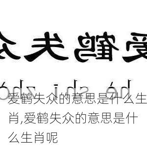 爱鹤失众的意思是什么生肖,爱鹤失众的意思是什么生肖呢