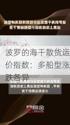 波罗的海干散货运价指数：多船型涨跌各异