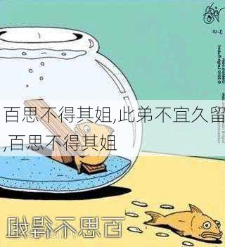 百思不得其姐,此弟不宜久留,百思不得其姐