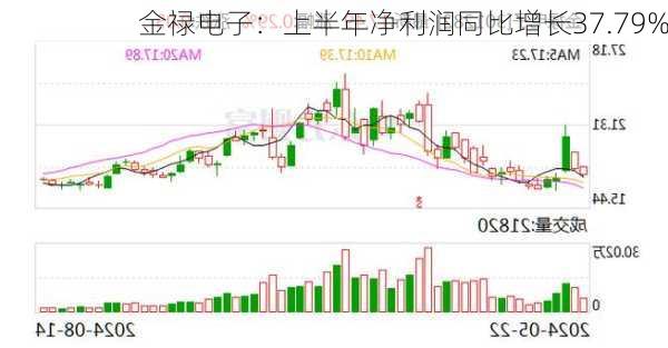 金禄电子：上半年净利润同比增长37.79%