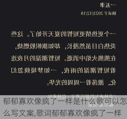 郁郁寡欢像疯了一样是什么歌可以怎么写文案,歌词郁郁寡欢像疯了一样