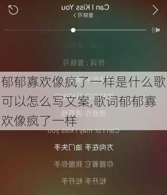 郁郁寡欢像疯了一样是什么歌可以怎么写文案,歌词郁郁寡欢像疯了一样