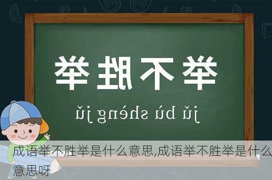 成语举不胜举是什么意思,成语举不胜举是什么意思呀