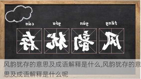 风韵犹存的意思及成语解释是什么,风韵犹存的意思及成语解释是什么呢